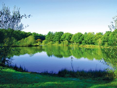 Camping Coeur de Vendée - Camping Vendée - Image N°5