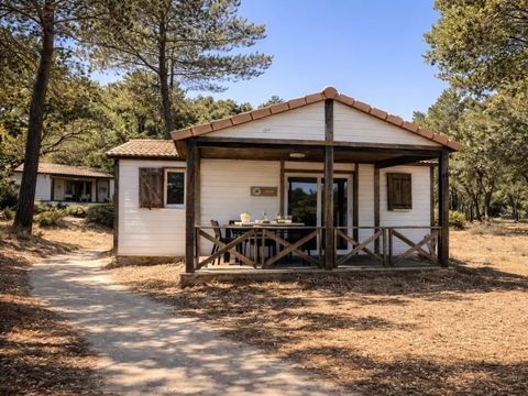 Camping Le Parc des Chênes - Camping Var - Image N°4