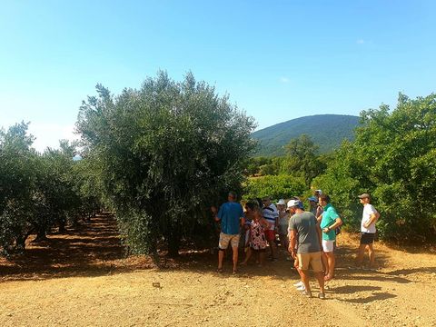 Le Parc des Chênes - Camping Var - Image N°30