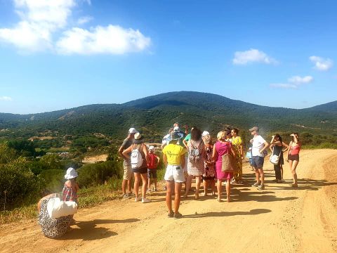 Le Parc des Chênes - Camping Var - Image N°29