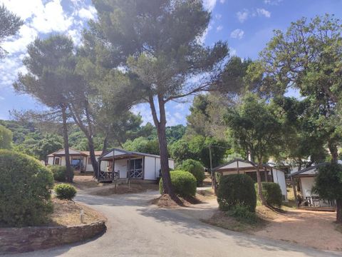 Camping Le Parc des Chênes - Camping Var - Image N°3