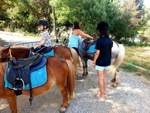 Le Parc des Chênes - Camping Var - Image N°13