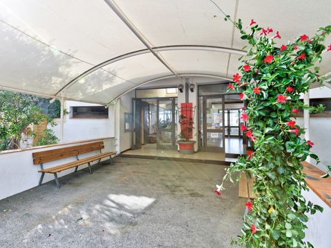 Le Parc des Chênes - Camping Var - Image N°18
