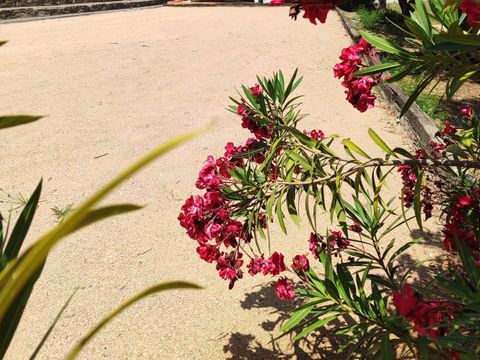 Le Parc des Chênes - Camping Var - Image N°37