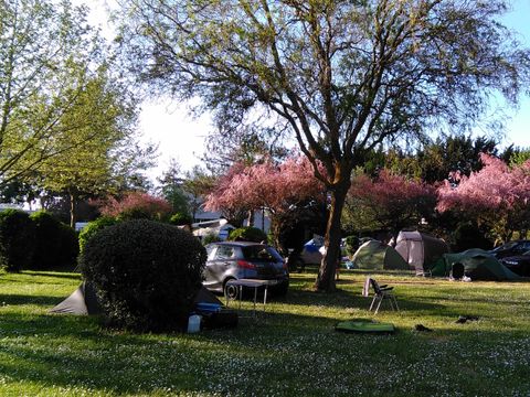 Camping La Belle Etoile - Camping Seine-et-Marne - Image N°23