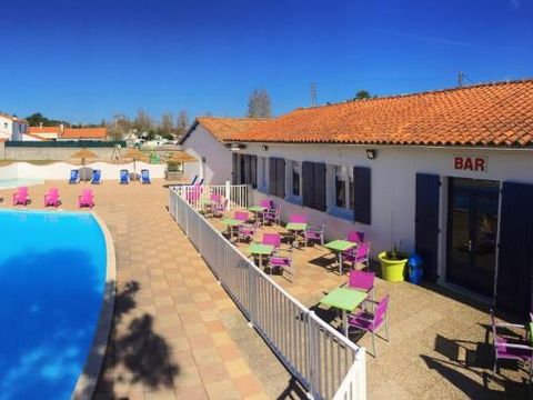 Camping Les Violettes  - Camping Vendée - Image N°33