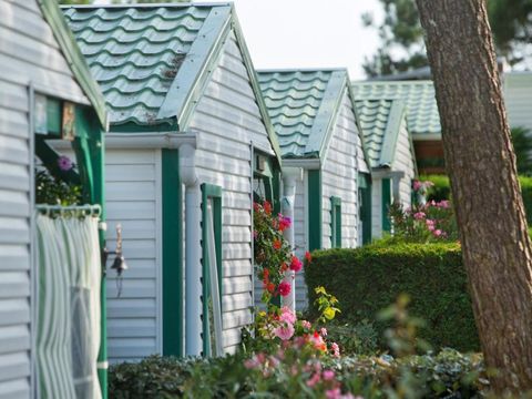 Camping Les Violettes  - Camping Vendée - Image N°23