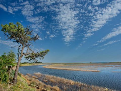 Camping Les Violettes  - Camping Vendée - Image N°24
