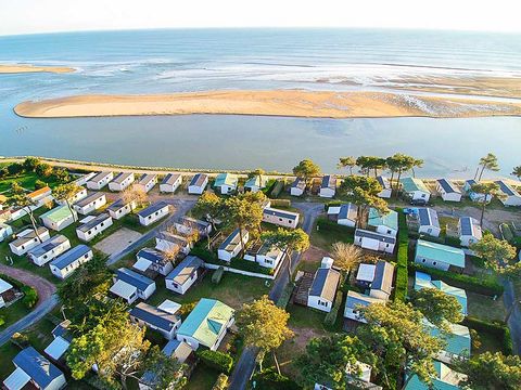 Camping Les Violettes  - Camping Vendée