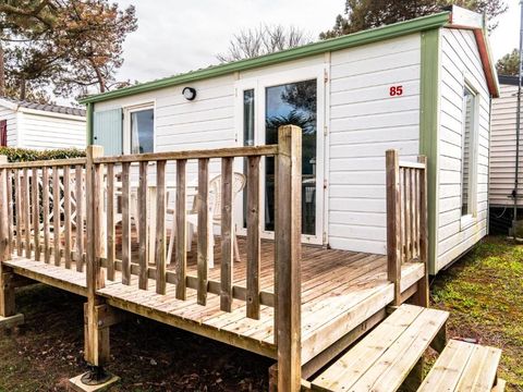 Camping Les Violettes  - Camping Vendée - Image N°54