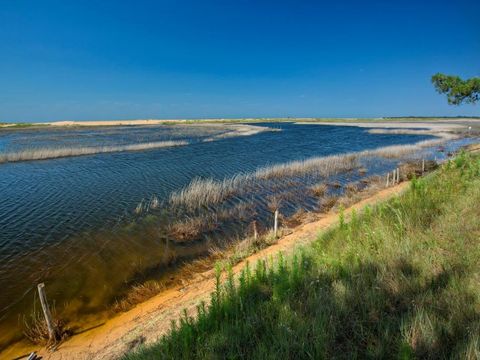 Camping Les Violettes  - Camping Vendée - Image N°39