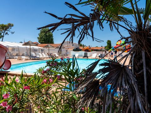 Camping Les Violettes  - Camping Vendée - Image N°7