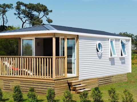 Camping Les Violettes  - Camping Vendée - Image N°35