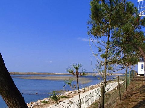 Camping Les Violettes  - Camping Vendée - Image N°29