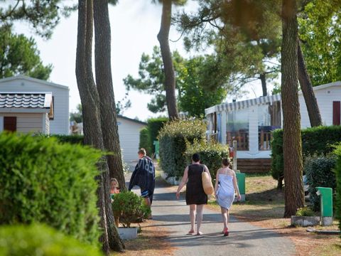 Camping Les Violettes  - Camping Vendée - Image N°27