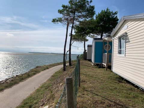 Camping Les Violettes  - Camping Vendée - Image N°26