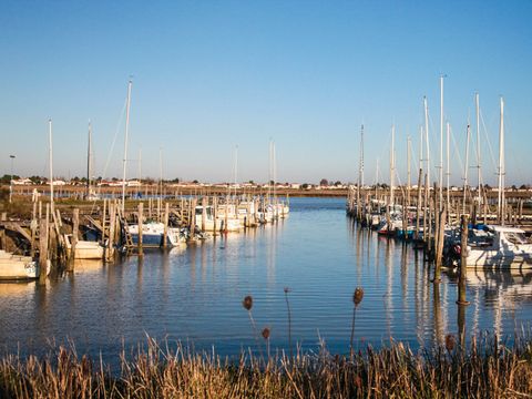 Camping Le Pavillon Bleu  - Camping Vendée - Image N°30