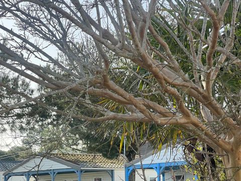 CHALET 6 personnes -  Eco - 3 Chambres