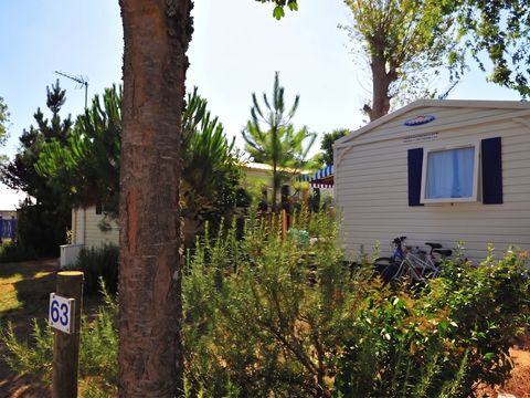 Camping Le Pavillon Bleu  - Camping Vendée - Image N°21