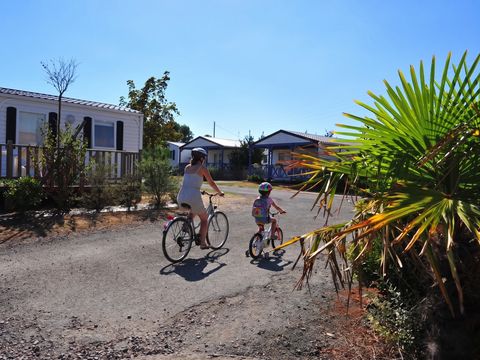 Camping Le Pavillon Bleu  - Camping Vendée - Image N°19