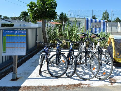 Camping Le Pavillon Bleu  - Camping Vendée - Image N°21