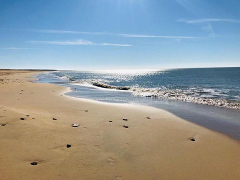 Camping Le Pavillon Bleu  - Camping Vendée - Image N°26