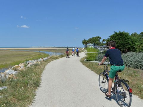 Camping Le Pavillon Bleu  - Camping Vendée - Image N°29