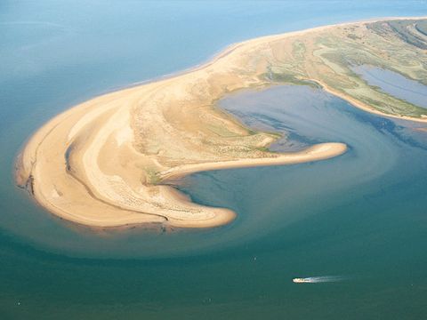 Camping Le Pavillon Bleu  - Camping Vendée - Image N°28