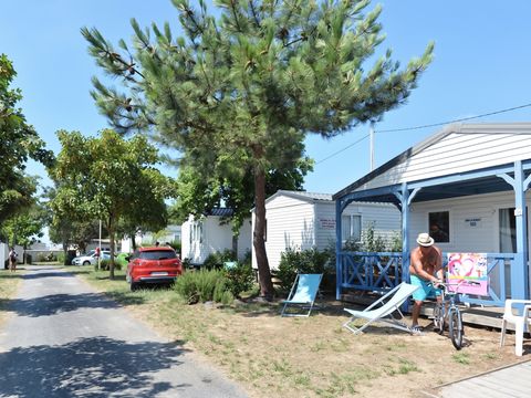 Camping Le Pavillon Bleu  - Camping Vendée - Image N°20