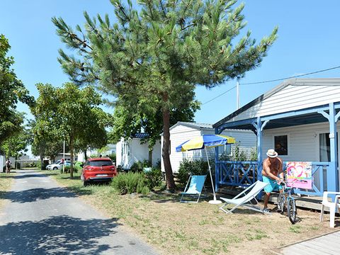 Camping Le Pavillon Bleu  - Camping Vendée - Image N°24