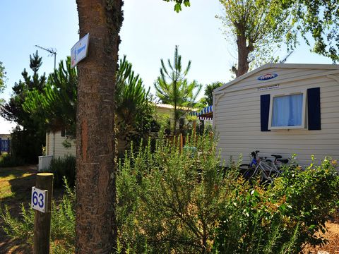 Camping Le Pavillon Bleu  - Camping Vendée - Image N°25