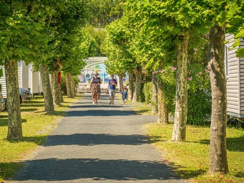 Camping Les Flots Bleus - Camping Vendée - Image N°33