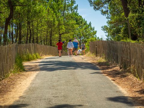 Camping Les Flots Bleus - Camping Vendée - Image N°35
