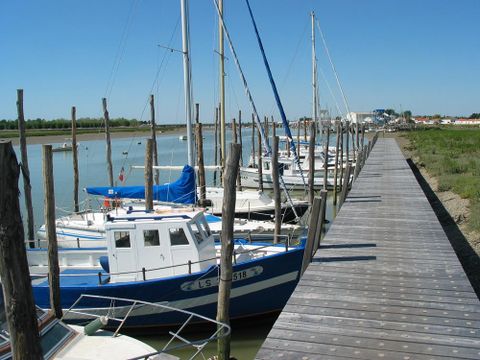 Camping Paradis - Le Grand R  - Camping Vendée - Image N°55