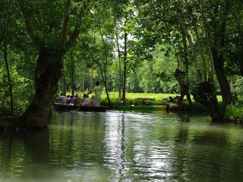Camping Paradis - Le Grand R  - Camping Vendée - Image N°53