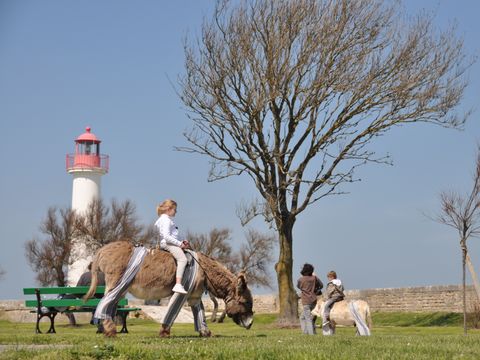 Camping Les Peupliers - Camping Charente-Maritime - Image N°28