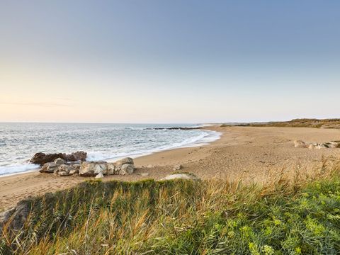 Camping Les Peupliers - Camping Charente-Maritime - Image N°16