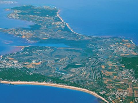 Résidence Les Hauts de Cocraud - Camping Charente-Maritime - Image N°8