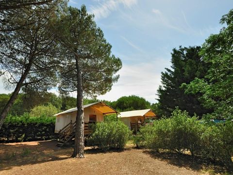 Hébergement 4 personnes - LODGE STANDARD