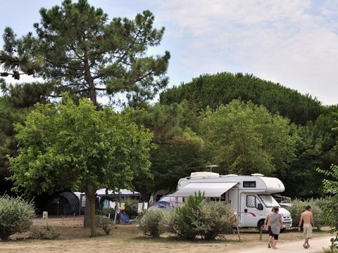 Emplacement - Forfait Confort+ (1 tente, caravane ou camping-car / 1 voiture / électricité 10A) 2 pers.