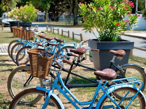 Flower Camping Le Bel Air - Camping Charente-Maritime - Image N°31