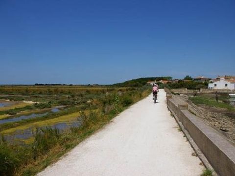 Flower Camping Le Bel Air - Camping Charente-Maritime - Image N°39