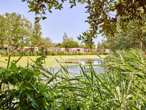 Camping du Jard  - Camping Vendée - Image N°8