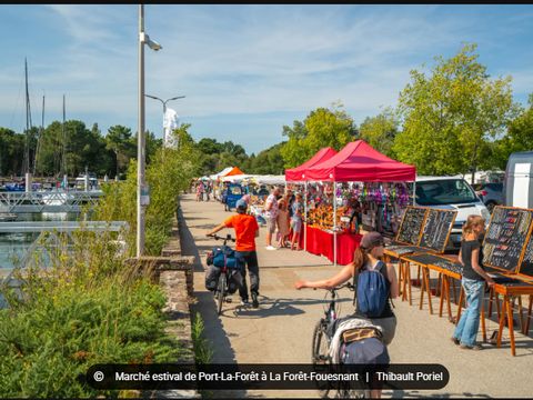 Camping du Manoir de Penn Ar Ster - Camping Finistère - Image N°23