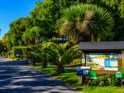 Camping du Manoir de Penn Ar Ster - Camping Finistère - Image N°21