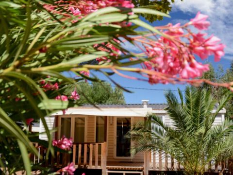MOBILHOME 6 personnes - Cottage premium 6/8pl 3ch - maiana