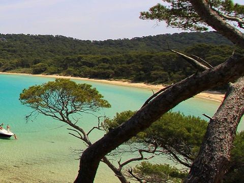 Camping Le Pansard - Camping Var - Image N°31