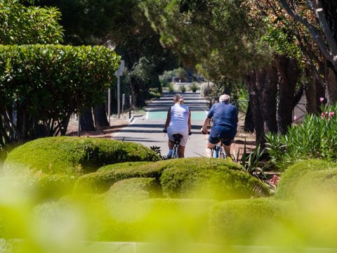 Camping Le Pansard - Camping Var - Image N°19