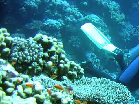 Camping Le Pansard - Camping Var - Image N°32