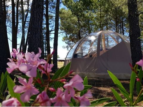 Tente 4 personnes - Bulle Etoile d'Ardèche